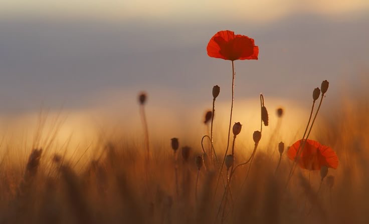 Gracias 2025. Bienvenido&nbsp;2026